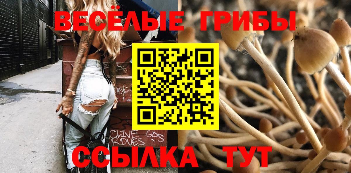 Галлюциногенные грибы Cubensis  Псилоцибиновые грибы прущие грибы  Вход с VPN  Лысьва 